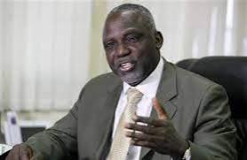 Prof. Barth Nnaji to Lead Ebonyi’s Industrial Revolution as Economic Team Chairman 2